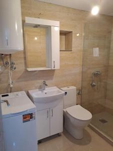 Un baño con inodoro, lavabo y ducha. en Stara kamena kuca Lustica, en Luštica