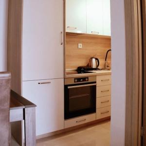 a kitchen with a stove and a white refrigerator at Stara kamena kuca Lustica in Luštica +15 photos