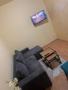 a living room with a blue couch and a tv at TripleA Sr apartments in Belgrade
