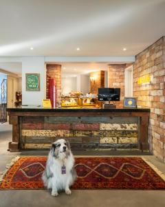Domácí mazlíčci ubytovaní s hosty v ubytování Work Hotel Design