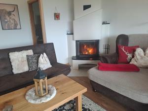 Posezení v ubytování Ferienhaus Spitzer