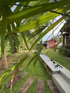 Zahrada ubytování Oasis cabanas