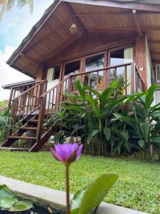 Zahrada ubytování Oasis cabanas