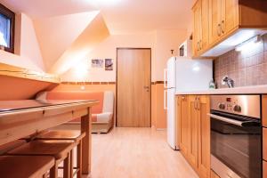 Kuchyň nebo kuchyňský kout v ubytování Apartments Jasa
