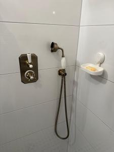a shower with a hose attached to a wall at Allerhaus Apartments am Ackerbürgerhaus in Verden +42 photos