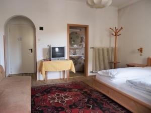 a bedroom with a bed and a television on a table at Hotel Bachmann in Villabassa