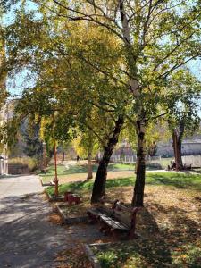 Jardín al aire libre en VERA apartman