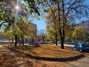 Imagen de la galería de VERA apartman, en Zajecar