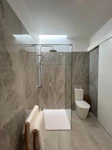 a bathroom with a shower and a toilet at Verde'Água Studio in Mosteiros