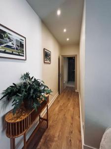 a hallway with a potted plant on a table at Les Dunes Appartement Cosy 200m de la mer in Le Touquet-Paris-Plage