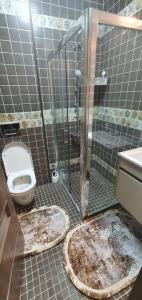 Billede fra billedgalleriet på Apartament Anahita i Sinaia