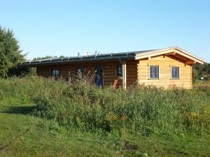 una cabaña de madera en una colina con césped en Halbinsel Resort Peenemünde, en Peenemünde