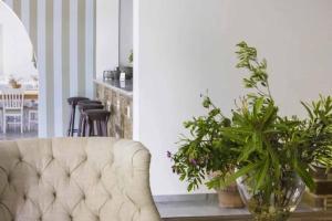 a living room with a couch and some plants at Parosland Hotel in Aliki