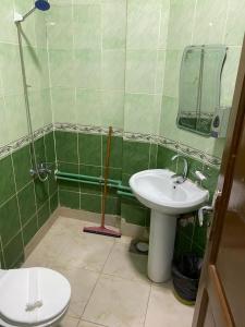 カイロにあるOne Season Hostelの緑のタイル張りのバスルーム(トイレ、シンク付) +37枚の写真