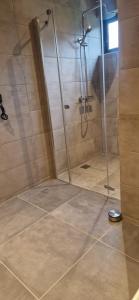 a shower with a glass door in a bathroom at B&B Opoes huusie in Lutten
