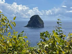 Paesaggio naturale nelle vicinanze dell'appartamento