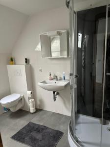 a bathroom with a toilet and a sink and a shower at HomeBerg Duisburg - feine 3 Zimmer, 4 Betten, 60qm in Top Lage in Duisburg