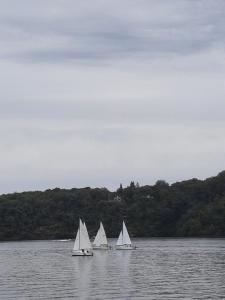 Naturlandskabet i nærheden af den private indkvartering