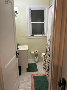 辛辛那提Charming 1 BR Apt 6 miles from Downtown!的一间带水槽、窗户和绿色地毯的浴室