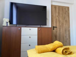 TV a/nebo společenská místnost v ubytování Apartmán Vráž u Písku