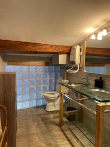 a bathroom with a toilet and a sink at Chez Pauline & Vincent Côté Canal in Carcassonne +35 photos