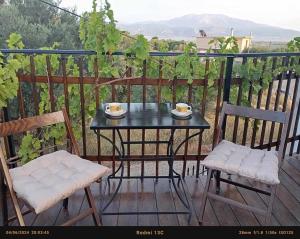 a table and chairs on a balcony with grapes at Villa Vitta picola casa in Nafpaktos