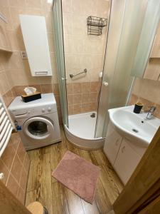Koupelna v ubytování Apartmán Vráž u Písku