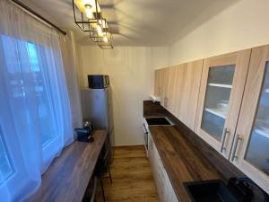Kuchyň nebo kuchyňský kout v ubytování Apartmán Vráž u Písku