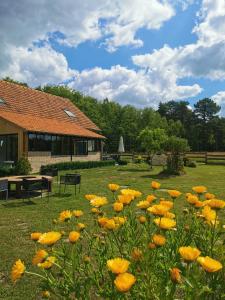 ein Feld gelber Blumen vor einem Gebäude in der Unterkunft Le Pti'Fernin, Gîte de Sologne in Saint-Viâtre + 64 Fotos