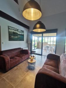 ein Wohnzimmer mit zwei Sofas und einem Tisch in der Unterkunft Le Pti'Fernin, Gîte de Sologne in Saint-Viâtre