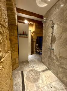 a bathroom with a walk in shower in a room at Les Constancies luxury Villa 24-34 pers in Valades