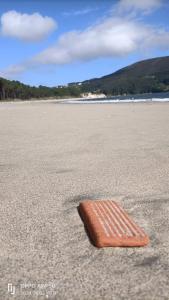 un objeto marrón tendido sobre la arena de una playa en Apartamento familiar en Finisterre playa Langosteira, en Finisterre