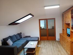 een woonkamer met een blauwe bank en een tv bij Karlspitze -Natur Pur Appartementhaus in Kaunertal