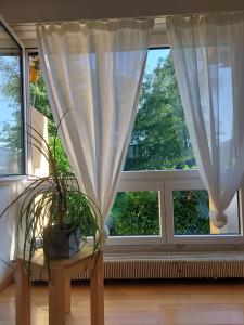Fotografie z fotogalerie ubytování El Destino Apartments v Curychu