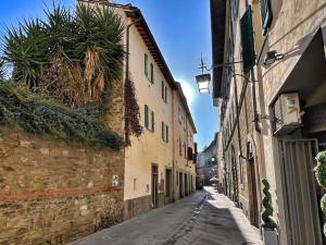 un callejón con edificios y una palmera en una calle en Tolletta 10eLode, en Arezzo