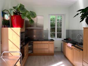 a kitchen with a potted plant on the counter at Appartement de luxe plein centre in Divonne-les-Bains