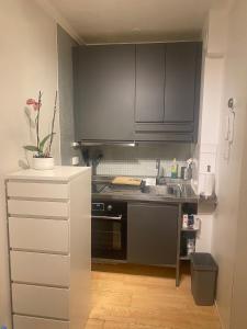 Η κουζίνα ή μικρή κουζίνα στο Apartment - very central in Majorstuen, Oslo