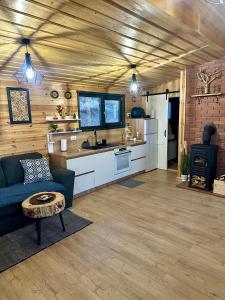 Posezení v ubytování Cabană Vinkiș