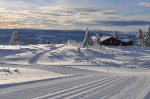 Løstegård Cabins v zimě