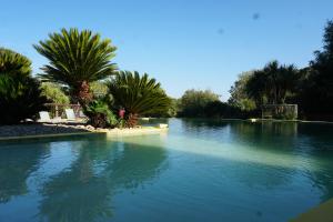 un bacino d’acqua con palme sullo sfondo di Villa - Domaine à GRANS grande demeure 6 à 12pers a Grans