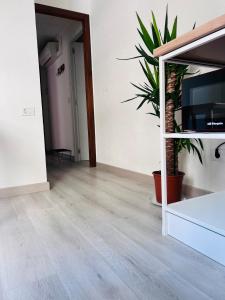 TV a/nebo společenská místnost v ubytování La Familia, Castellon