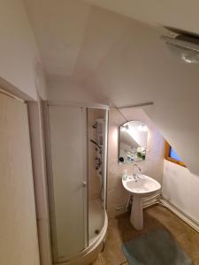 un bagno con doccia e lavandino di Vila DS - Slănic Prahova a Prăjani Altre 6 foto