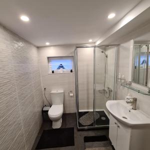 un bagno con wc, doccia e lavandino di Vila DS - Slănic Prahova a Prăjani