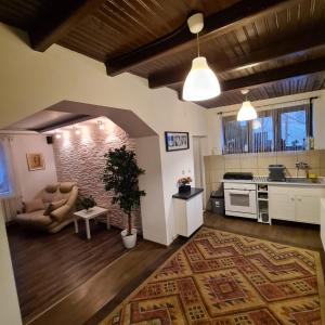 una cucina e un soggiorno con un divano e un tavolo di Vila DS - Slănic Prahova a Prăjani