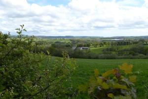 a field of green grass with a house in the distance at Penlan Farm Cottage in St Clears