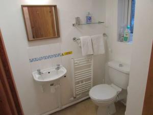 a white bathroom with a toilet and a sink at Penlan Farm Cottage in St Clears +15 photos