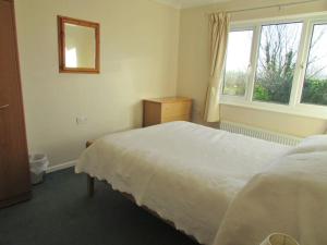 a bedroom with a white bed and a mirror at Penlan Farm Cottage in St Clears