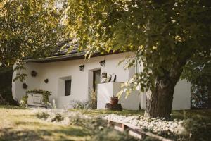a white house with a tree in front of it at Suttogó Vendégház in Ságvár