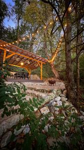 a patio with a picnic table and string lights at Aret House in Avrig