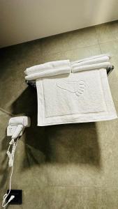 萨克德佐尔镇Marrone Hotel Tsaghkadzor的相册照片